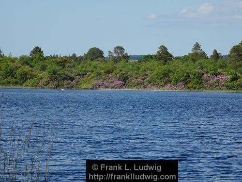 Lough Arrow